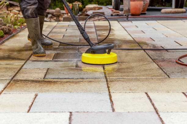 Best Animal Enclosure Cleaning  in Washington Mills, NY
